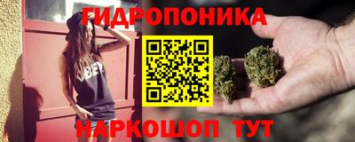 PSILOCYBIN Бугуруслан