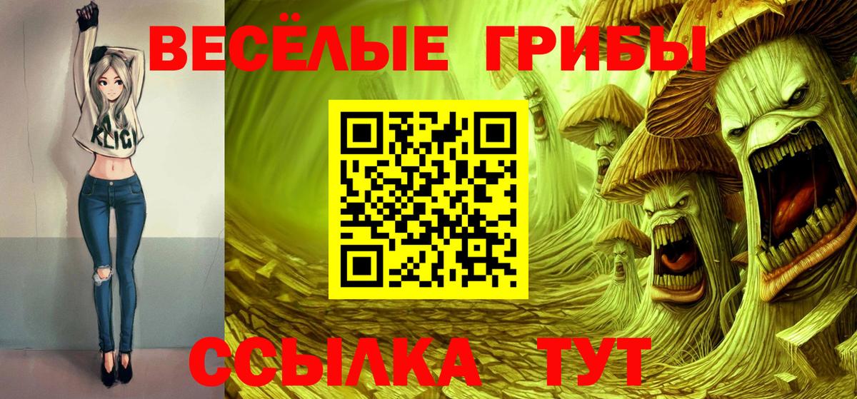 Малгобек  купить закладку  Вход с VPN  Галлюциногенные грибы прущие грибы  Галлюциногенные грибы Psilocybe 