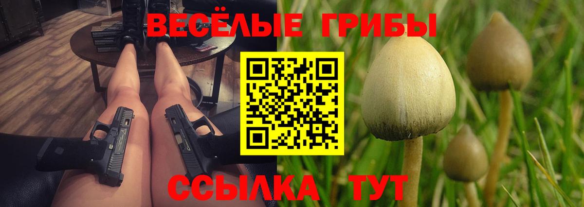 Псилоцибиновые грибы Magic Shrooms Малгобек